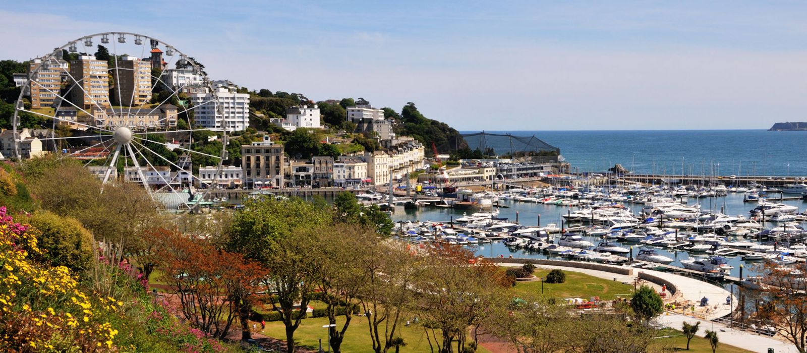 Club England | Torquay